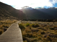 Tongariro Crossing